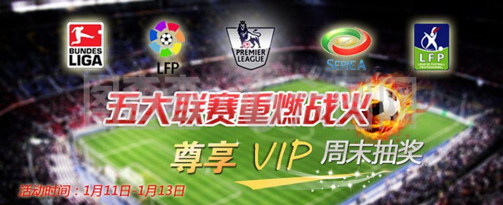 都牵动着鹈