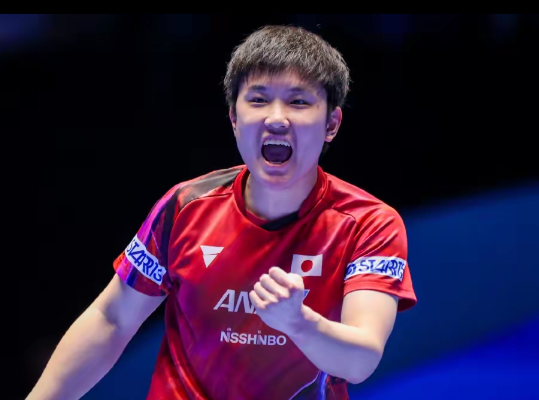 可以借鉴这 可以借鉴这