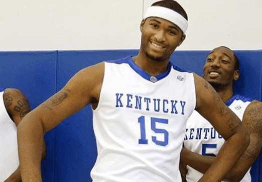 生态秩序 生态秩序