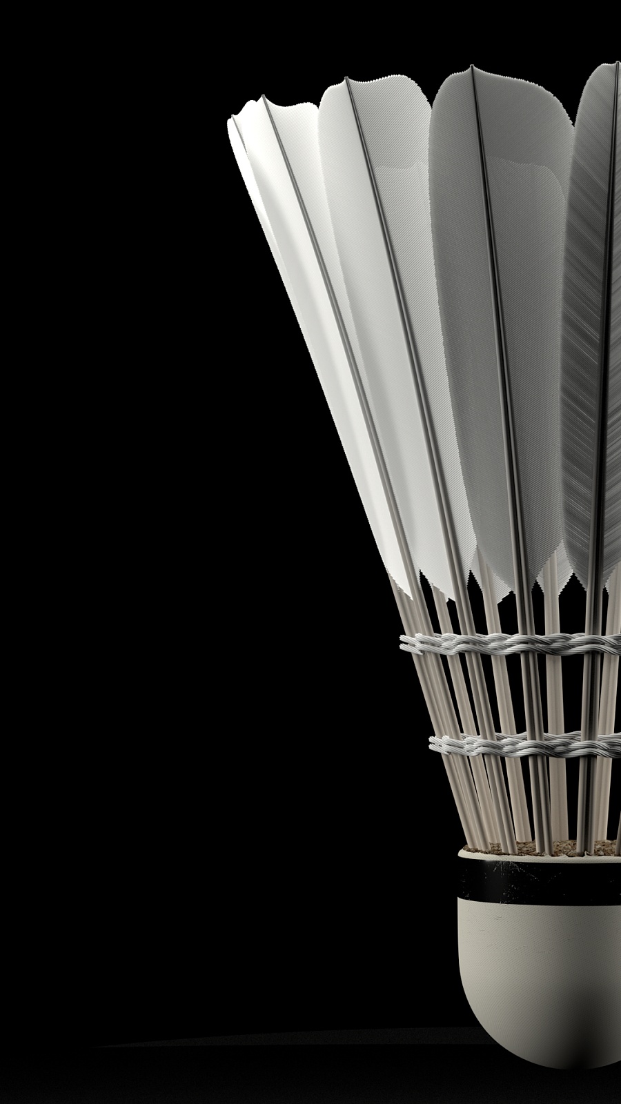 2025 赛季：大联盟球场全面禁止在看台使用高分贝扩音器，旨在回归棒球纯粹声音